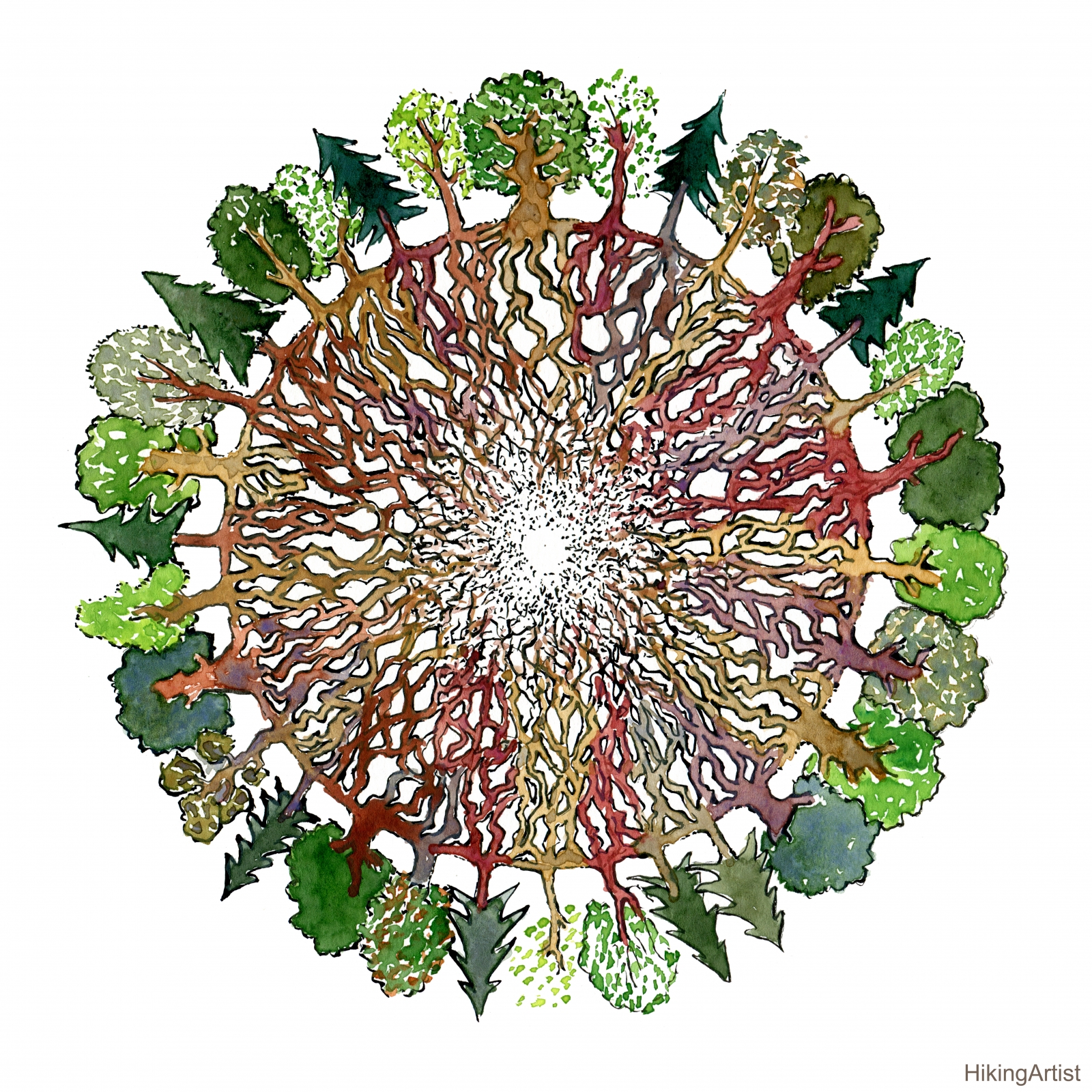 wood-wide-web-tree-social-network-2