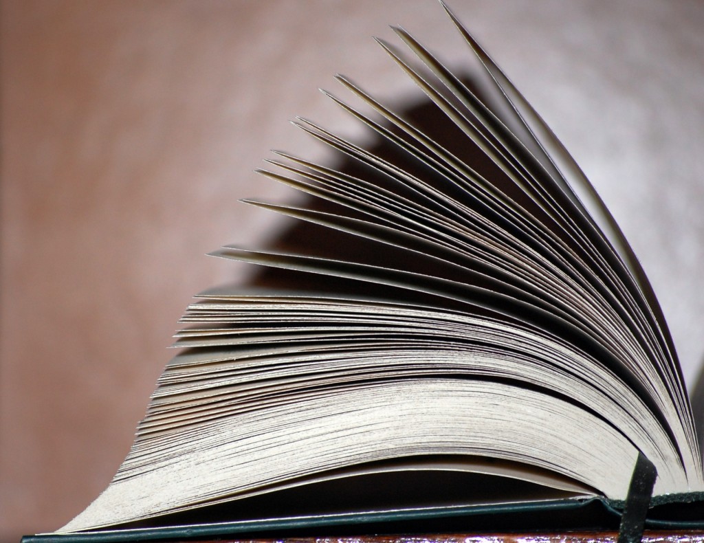 Libropaginas-1024x790