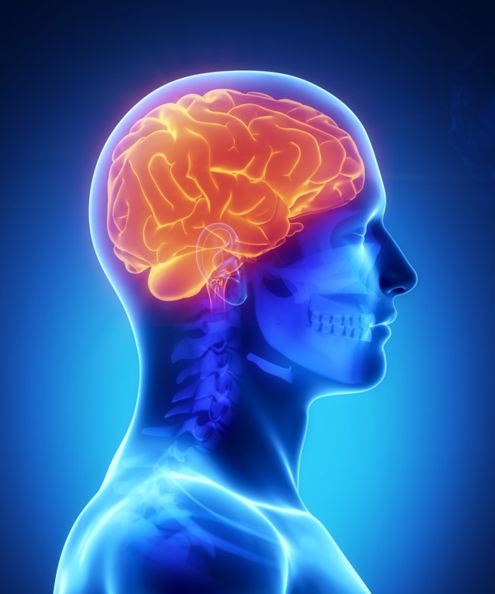 braincolorpower-e1411164290950