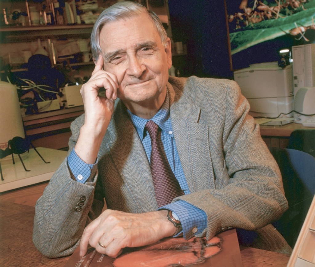 eowilsonwikipedia-1024x870