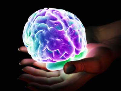 pleasurebrain