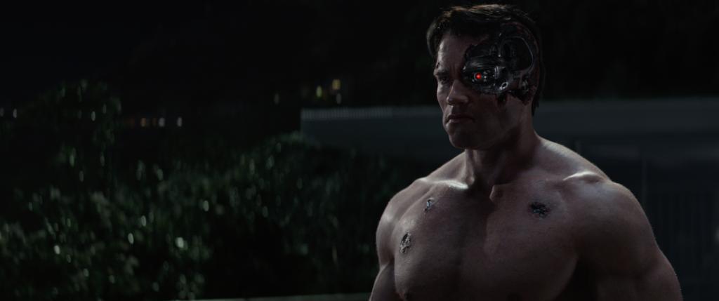 terminator-2
