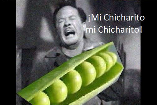 chicha4