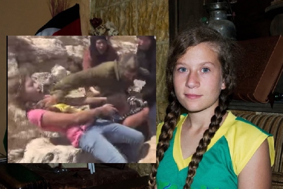 palestina ahed