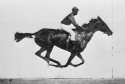 caballo