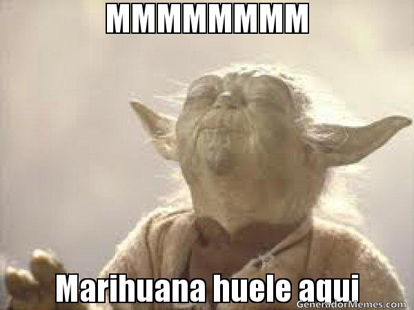 Mariguana