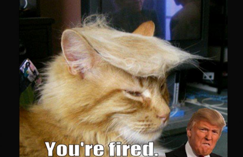 memedonald