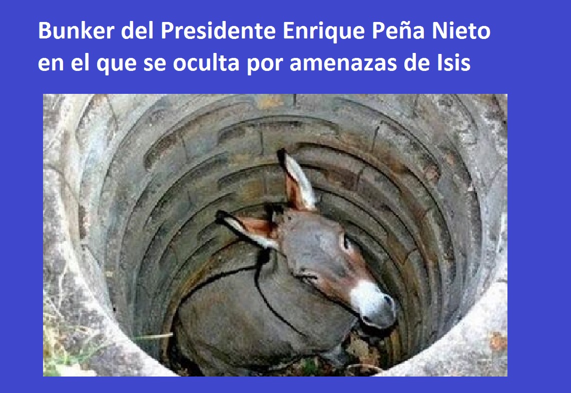 memepeña1