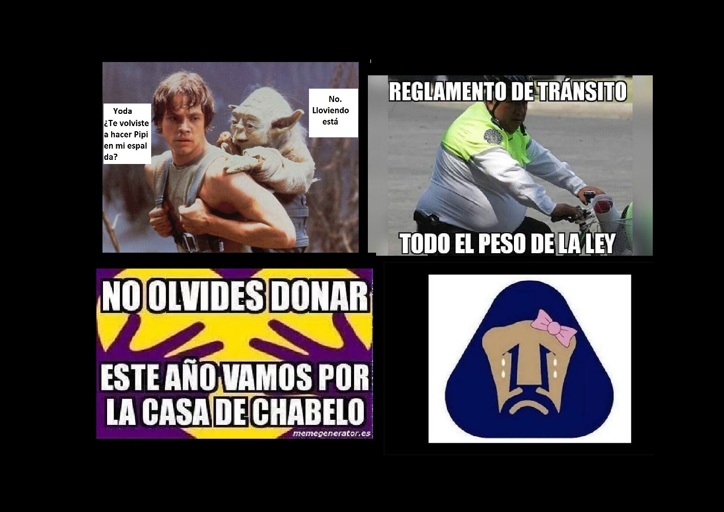 resumen