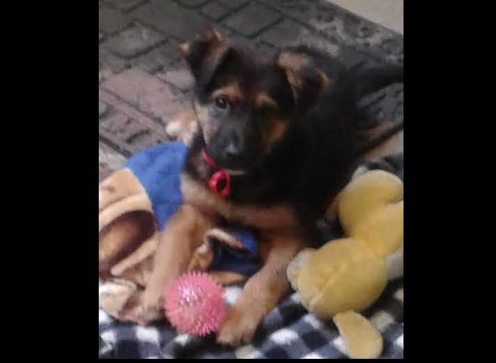 Almendra