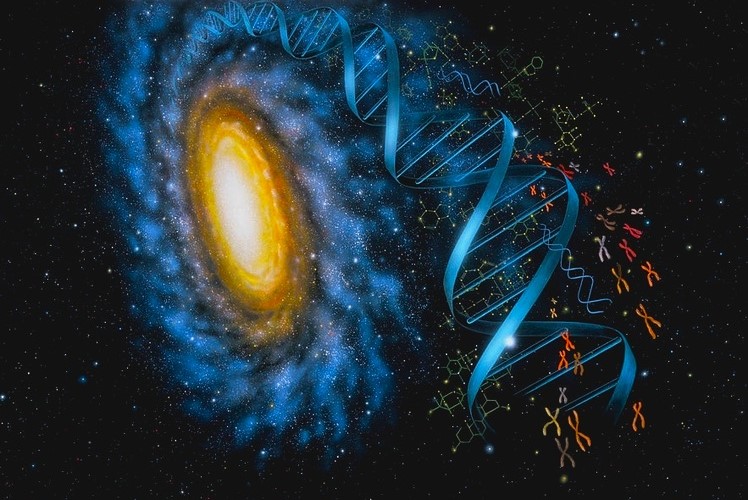 adn_galaxy