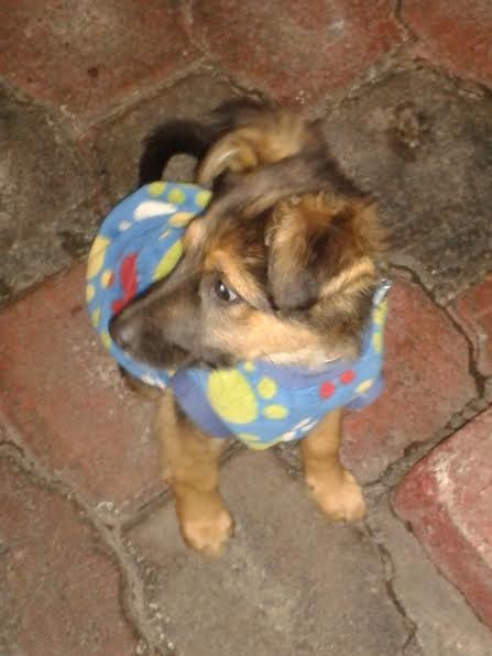 Presumiendo mi sweter