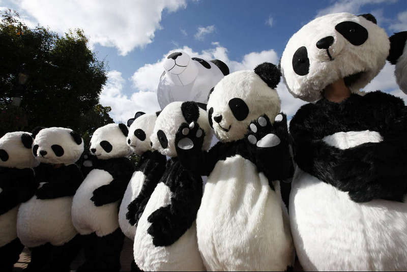 Pandas