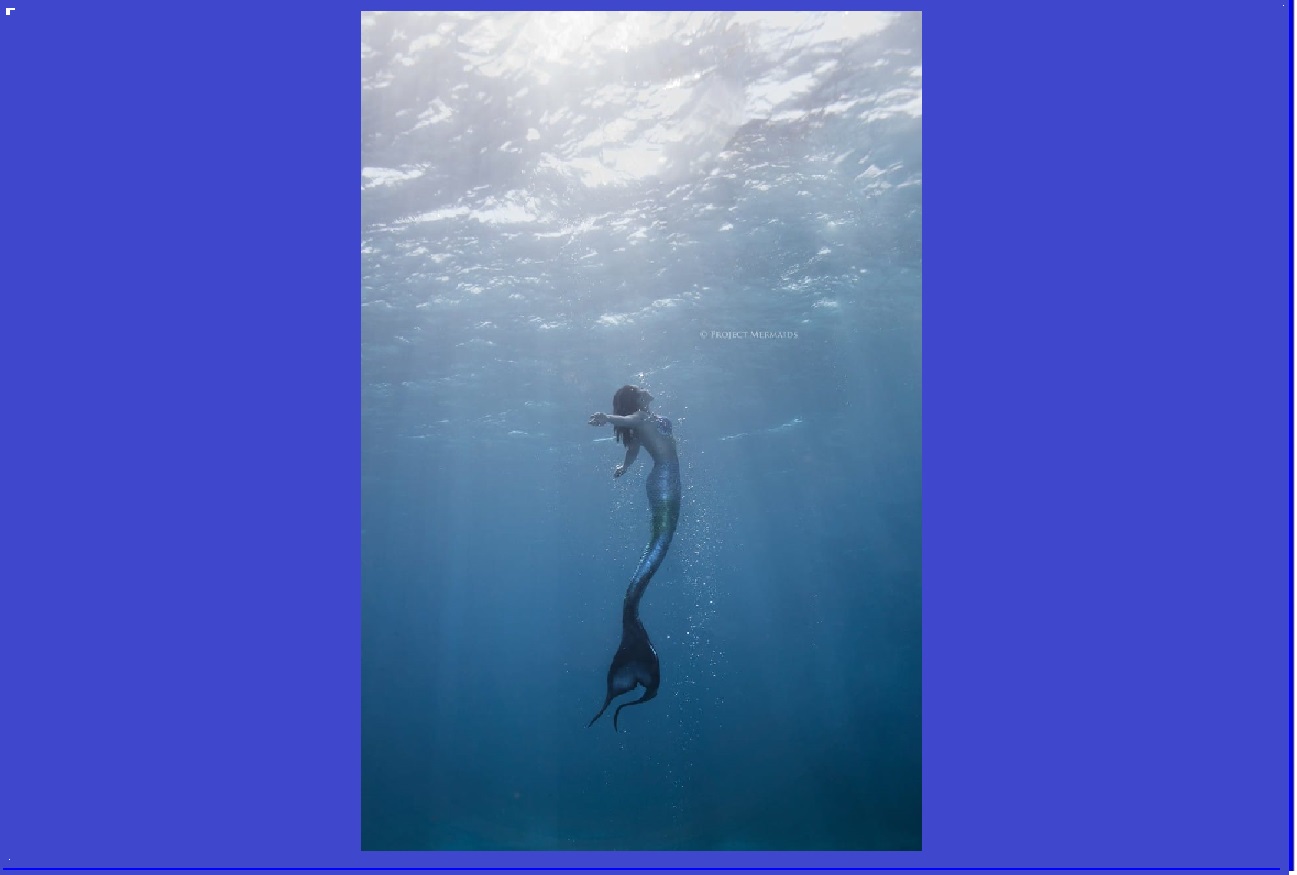Sirena1