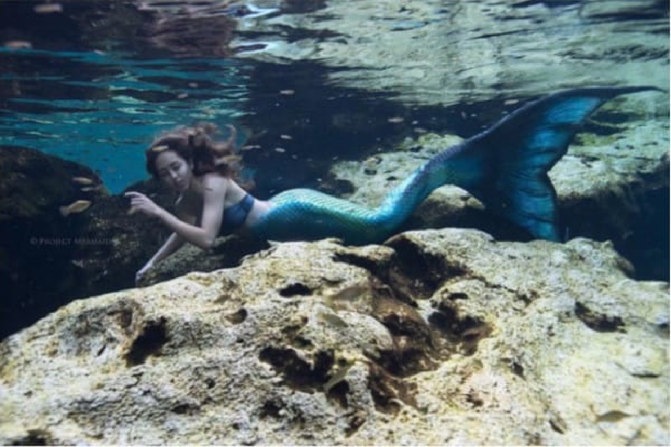 Sirena11