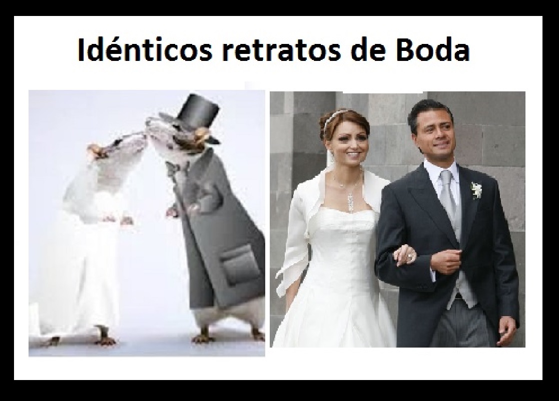 boda3