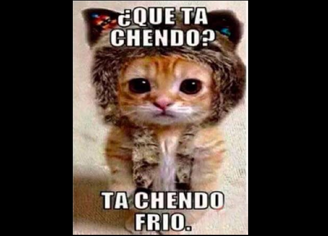 memefrio