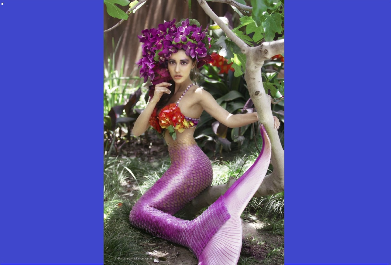 sirena4