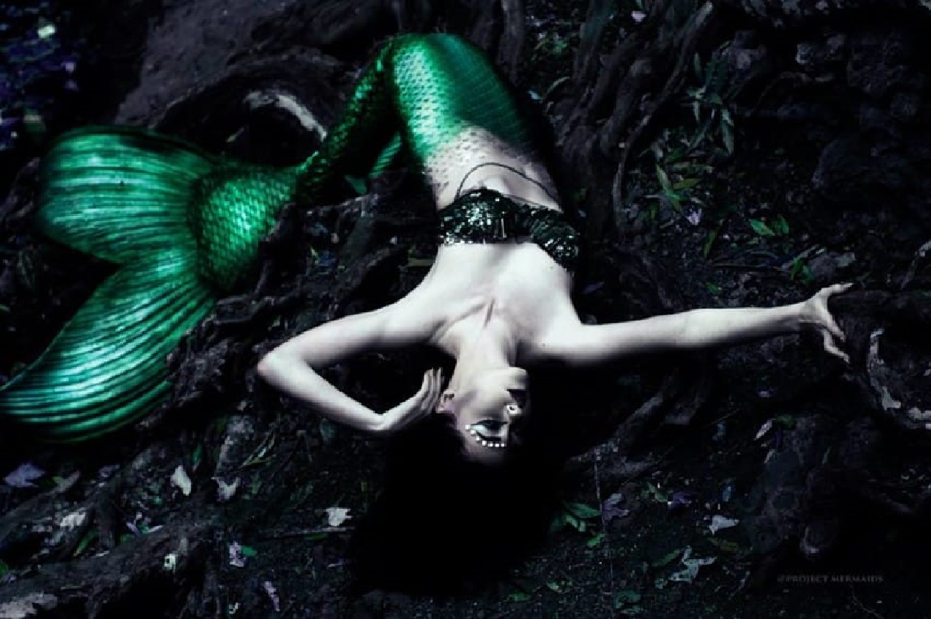 sirena6