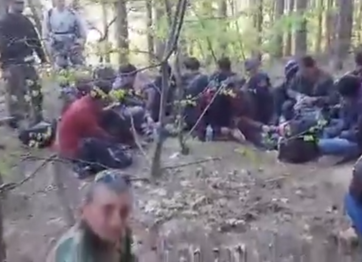 Migrantes