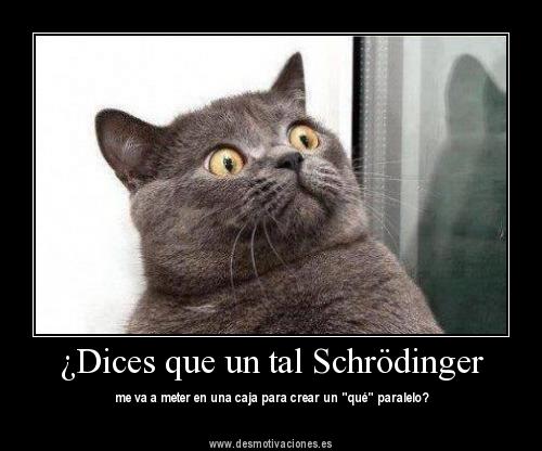gato