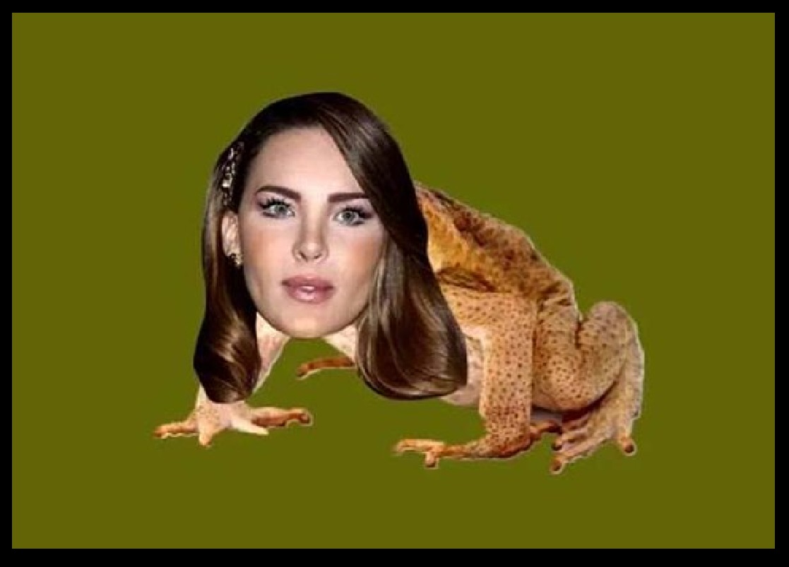 sapita5