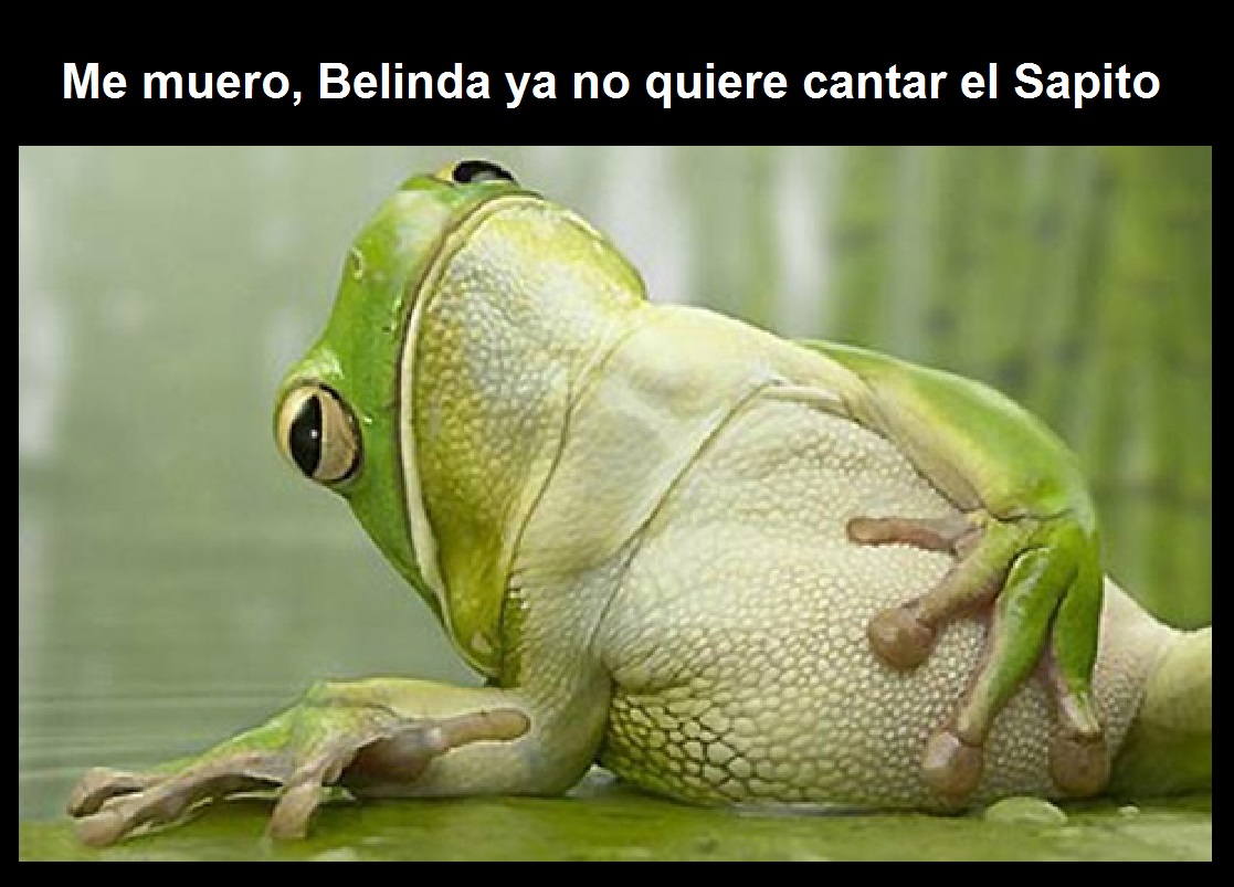 sapita6