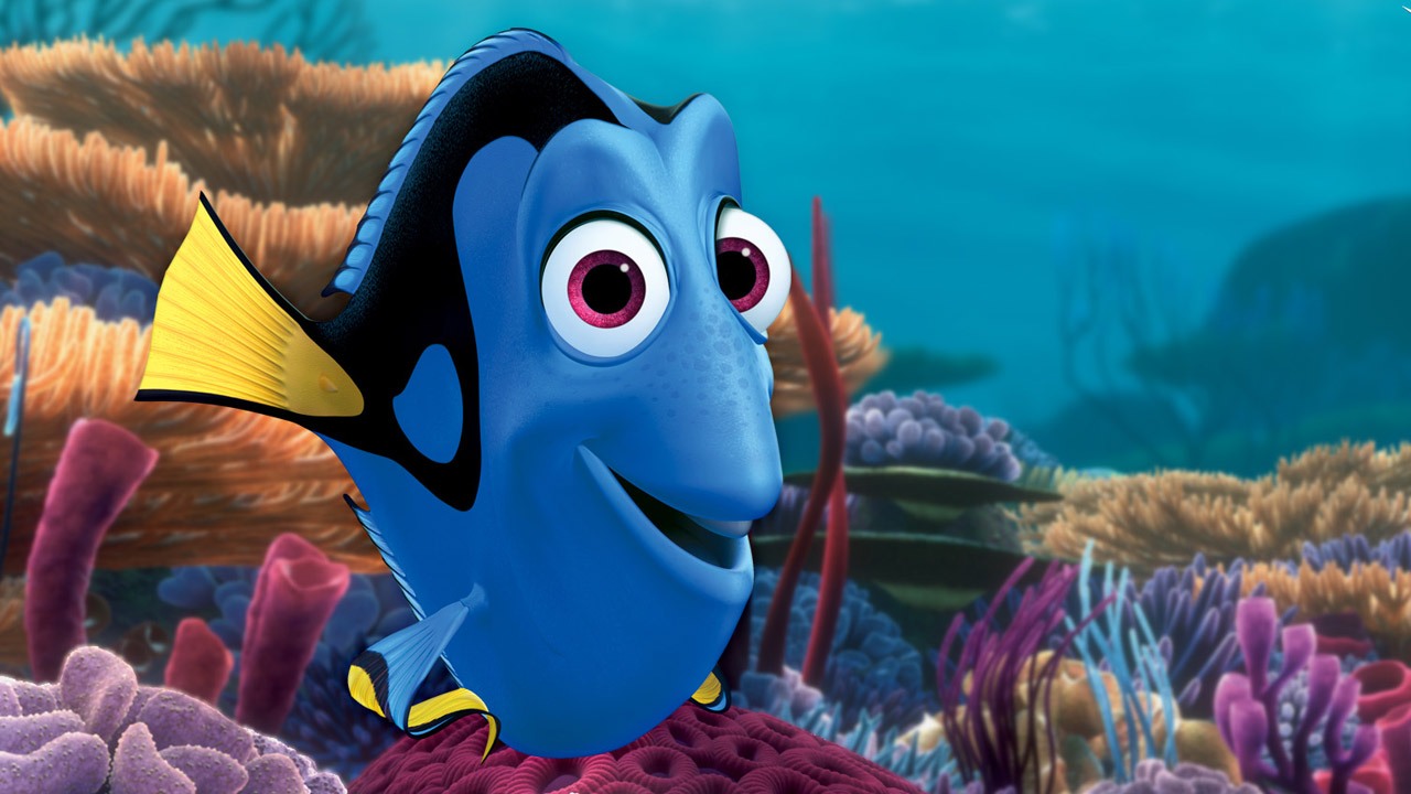 Dory