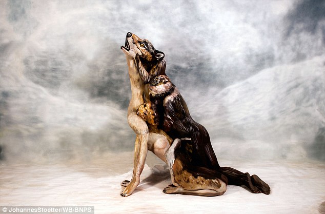 Lobo3