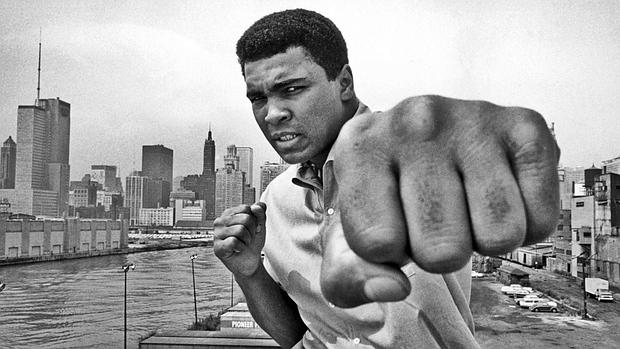 ali--620x349