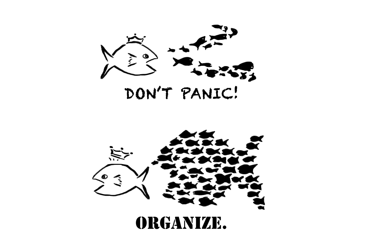 dont_panic_organize