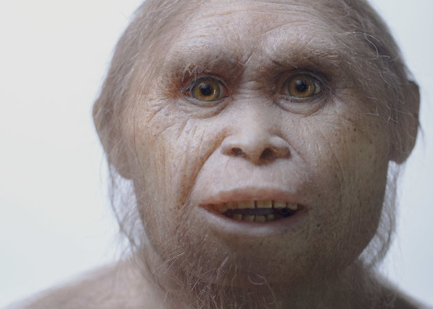 This 2015 picture provided by Kinez Riza shows a reconstruction model of Homo floresiensis by Atelier Elisabeth Daynes at Sangiran Museum and the Early Man Site. In a paper released Wednesday, June 8, 2016, researchers say newly-discovered teeth and a jaw fragment, which are about 700,000 years old, have revealed ancestors of Homo floresiensis, also known as hobbits, our extinct, 3 1/2-foot-tall evolutionary cousins. The fossils were excavated about 46 miles from the cave where the first hobbit remains were found in Indonesia. (Kinez Riza via AP)