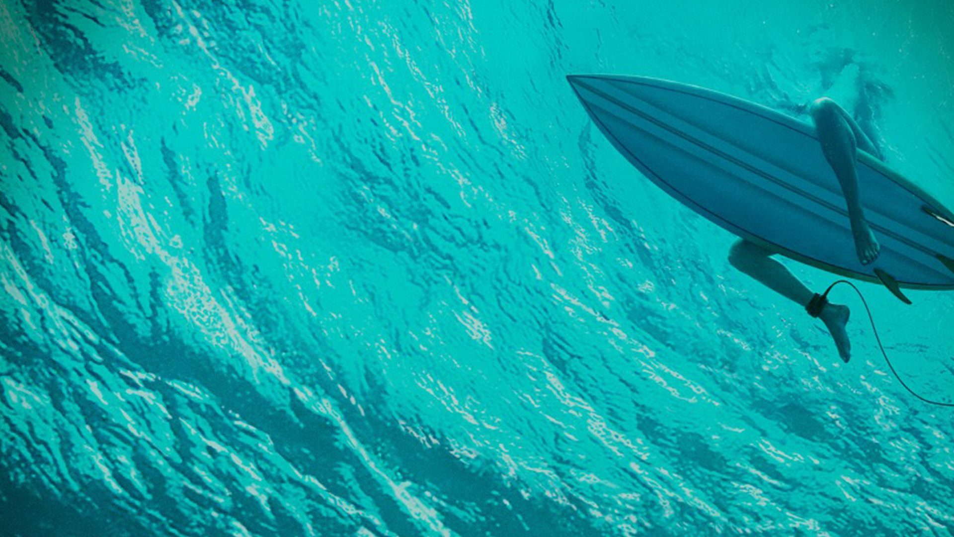 ShallowsBanner