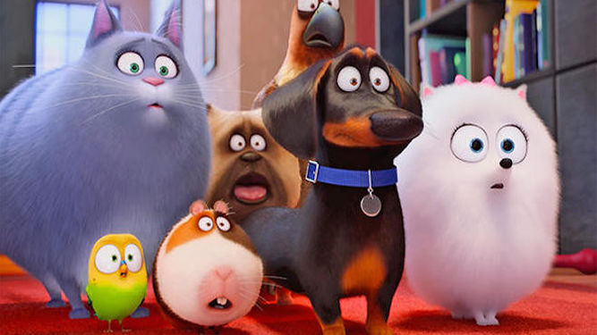 Mascotas