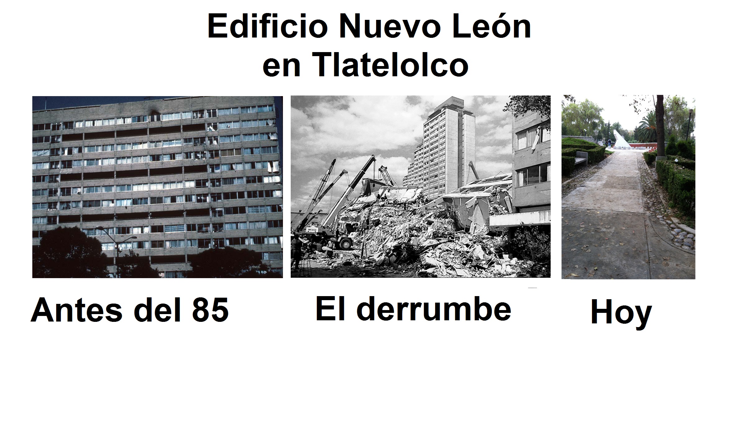terremoto1