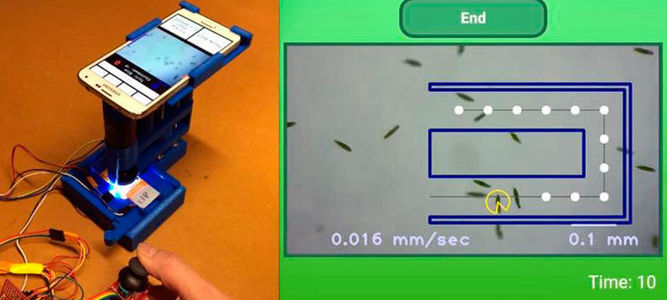 microscopio